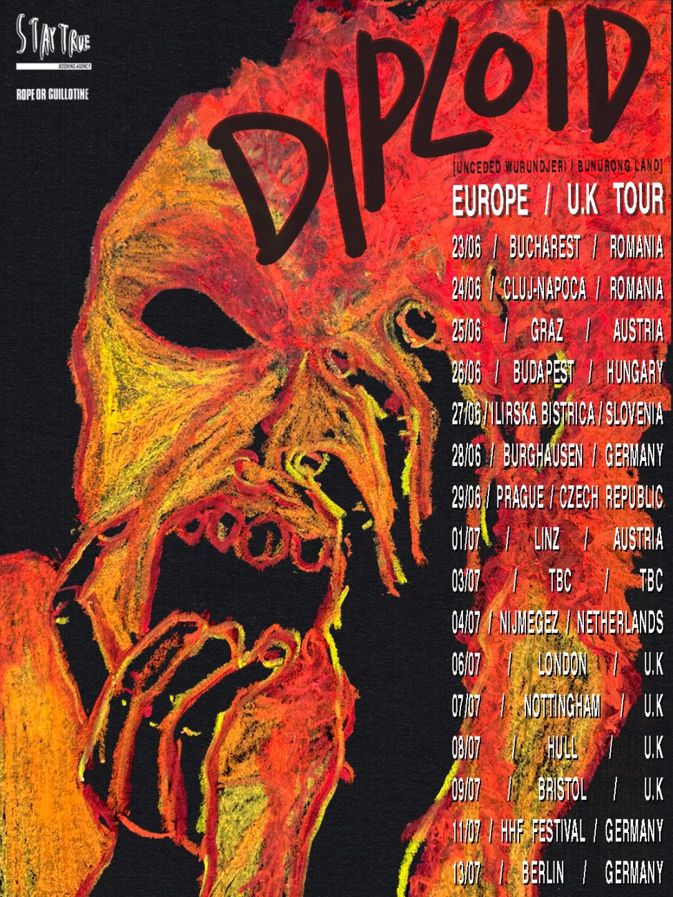 Diploid Tour