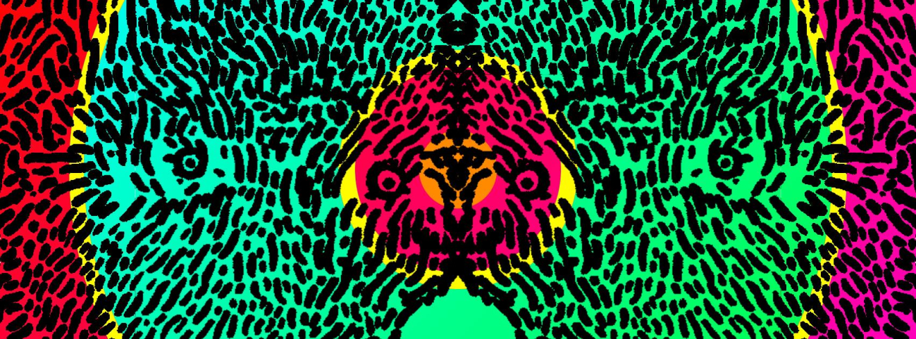 34984263_455077208279217_8667881823151325184_o.jpg