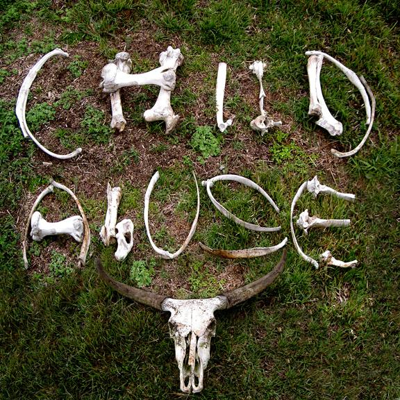 childabusebones.jpg