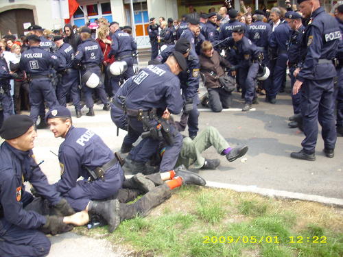 dsci3737.jpg