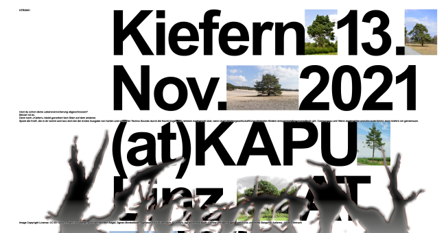 kiefern#1