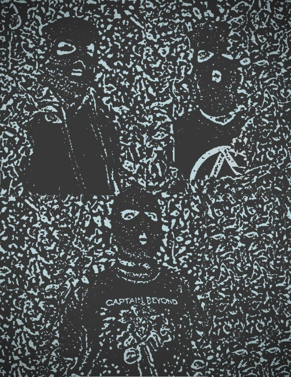 Sensu Stricto